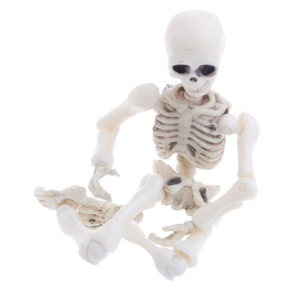 petit squelette articulé