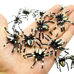 fausses araignées pour immeuble