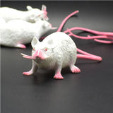 Fausse Souris <br> pour chat