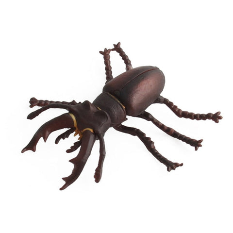 insecte jouet